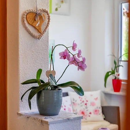 Appartement Sonnenschein I *