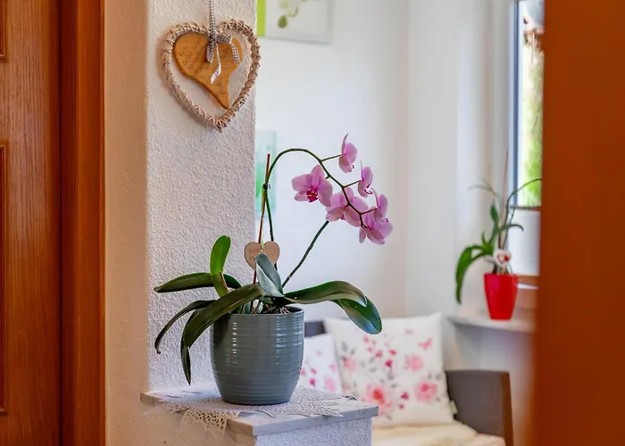 Daire Sonnenschein I Stuhlfelden